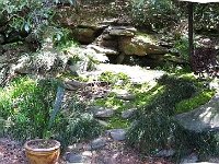 Merged backyard - 1